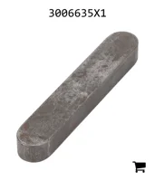 AGCO 3006635X1 Параллельный шпоночный паз