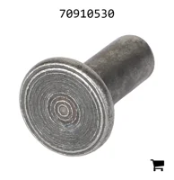 AGCO 70910530 Заклепка с плоской головкой