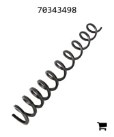 AGCO 70343498 Пружина
