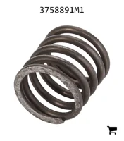 AGCO 3758891M1 Пружина