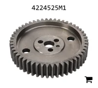 AGCO 4224525M1 Шестерня топливного насоса