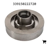 AGCO 339150222720 Поршень