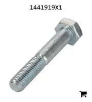 AGCO 1441919X1 Болт