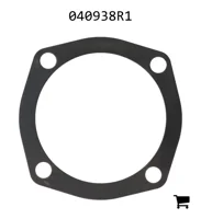 AGCO 040938R1 Шайба