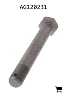 AGCO AG120231 Болт с шестигранной головкой