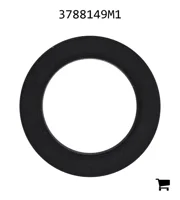 AGCO 3788149M1 Прокладка переднего моста