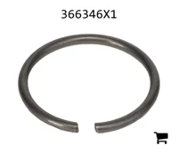 AGCO 366346X1 Кольцо