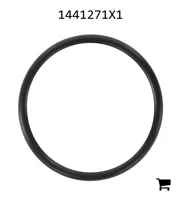 AGCO 1441271X1 Уплотнительное кольцо
