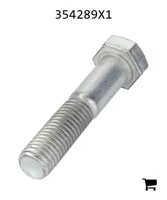 AGCO 354289X1 Болт
