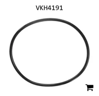 AGCO VKH4191 Уплотнительное кольцо гидравлического насоса