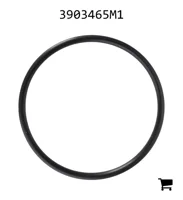 AGCO 3903465M1 Прокладка