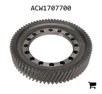 AGCO ACW1707700 Косозубая шестерня