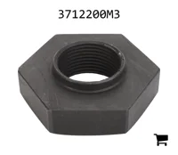 AGCO 3712200M3 Специальная гайка