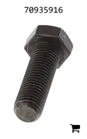 AGCO 70935916 Винт с шестигранной головкой