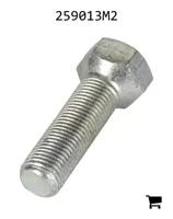 AGCO 259013M2 Болт