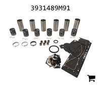AGCO 3931489M91 Комплект для капитального ремонта двигателя