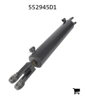 AGCO 552945D1 Гидроцилиндр