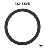 AGCO 4224582M1 Уплотнительное кольцо