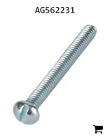 AGCO AG562231 Винт