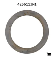 AGCO 4256113M1 Шайба