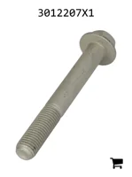 AGCO 3012207X1 Болт с шестигранной головкой и фланцем