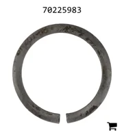 AGCO 70225983 Кольцо