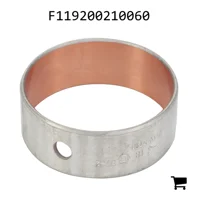 AGCO F119200210060 Подшипниковая втулка
