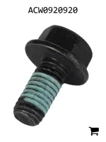 AGCO ACW0920920 Болт с шестигранной головкой и фланцем