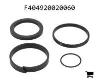 AGCO F404920020060 Ремкомплект