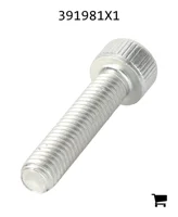 AGCO 391981X1 Винт с цилиндрической головкой и шестигранным углублением