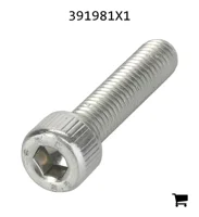 AGCO 391981X1 Винт с цилиндрической головкой и шестигранным углублением