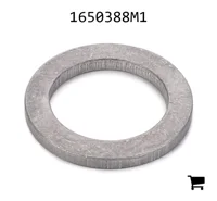 AGCO 1650388M1 Шайба