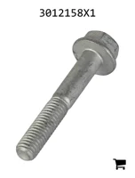 AGCO 3012158X1 Болт с шестигранной головкой и фланцем