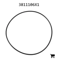 AGCO 3811106X1 Уплотнительное кольцо