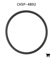 AGCO CH5P-4892 Уплотнение