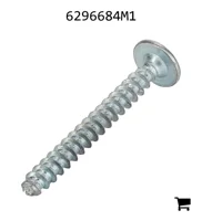 AGCO 6296684M1 Болт