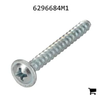 AGCO 6296684M1 Болт