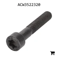 AGCO ACW3522320 Винт Torx