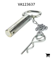 AGCO VA123637 Палец