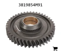 AGCO 3819854M91 Шестерня