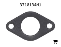 AGCO 3710134M1 Прокладка соленоида