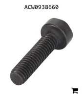 AGCO ACW0938660 Установочный винт с шестигранной головкой