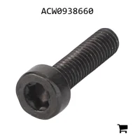 AGCO ACW0938660 Установочный винт с шестигранной головкой