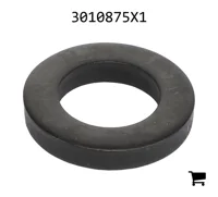 AGCO 3010875X1 Упрочнённая шайба