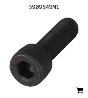 AGCO 3909549M1 Винт