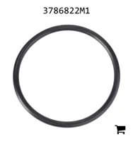 AGCO 3786822M1 Уплотнение фильтра гидравлики