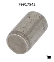 AGCO 70917542 Палец