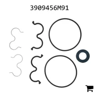 AGCO 3909456M91 Комплект прокладок гидравлического насоса