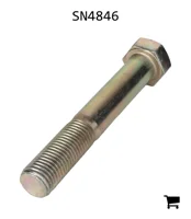 AGCO SN4846 Болт с шестигранной головкой