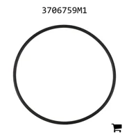 AGCO 3706759M1 Уплотнительное кольцо
